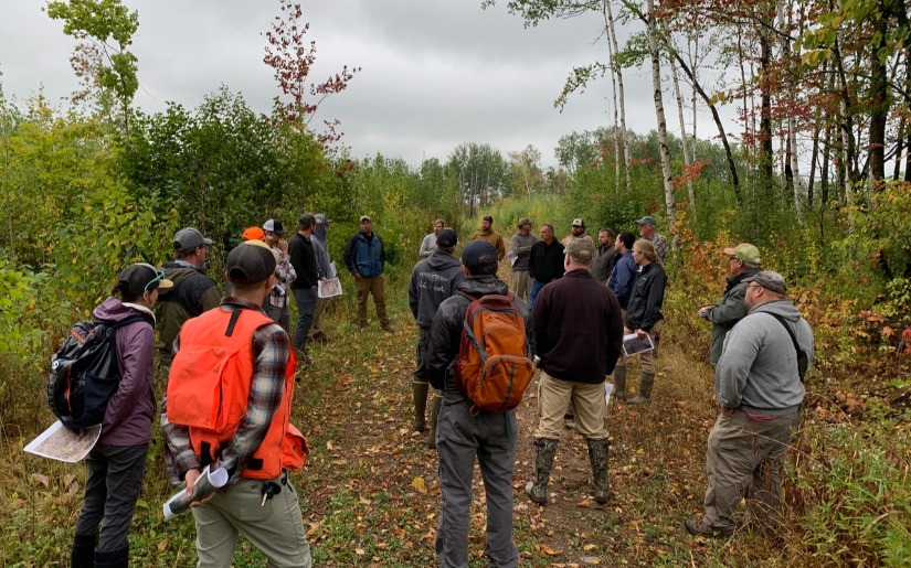 Forestry and Wildlife Managers Collaborate on &lsquo;Best Practices&rsquo; for Endangered Species